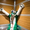 Biggest Little Fur Con 2018