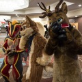 Biggest Little Fur Con 2018