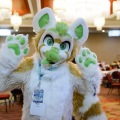 Biggest Little Fur Con 2024