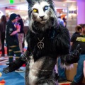 Biggest Little Fur Con 2025
