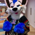 Biggest Little Fur Con 2025