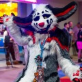Biggest Little Fur Con 2025