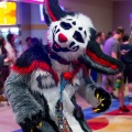 Biggest Little Fur Con 2025