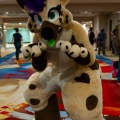 Biggest Little Fur Con 2025