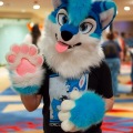 Biggest Little Fur Con 2025