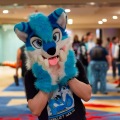 Biggest Little Fur Con 2025