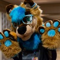 Biggest Little Fur Con 2025