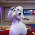 Biggest Little Fur Con 2025