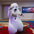 Biggest Little Fur Con 2025