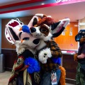 Biggest Little Fur Con 2025