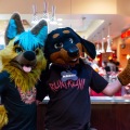 Biggest Little Fur Con 2025
