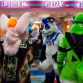 Biggest Little Fur Con 2025