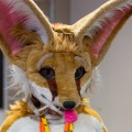 Biggest Little Fur Con 2025