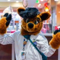 Biggest Little Fur Con 2025