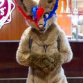 Biggest Little Fur Con 2025