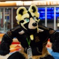 Biggest Little Fur Con 2025