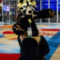 Biggest Little Fur Con 2025