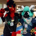 Biggest Little Fur Con 2025