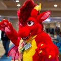 Biggest Little Fur Con 2025