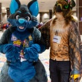 Biggest Little Fur Con 2025