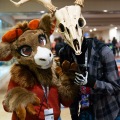 Biggest Little Fur Con 2025