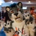 Biggest Little Fur Con 2025