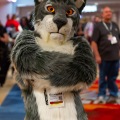 Biggest Little Fur Con 2025