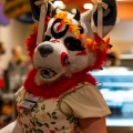 Biggest Little Fur Con 2025