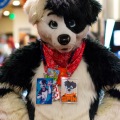 Biggest Little Fur Con 2025