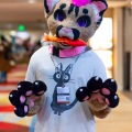 Biggest Little Fur Con 2025