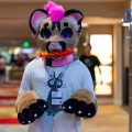 Biggest Little Fur Con 2025
