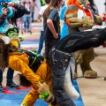 Biggest Little Fur Con 2025