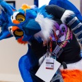 Biggest Little Fur Con 2025