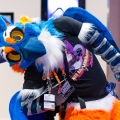 Biggest Little Fur Con 2025