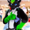 Biggest Little Fur Con 2025