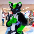Biggest Little Fur Con 2025