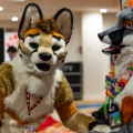 Biggest Little Fur Con 2025
