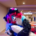 Biggest Little Fur Con 2025