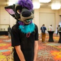 Biggest Little Fur Con 2025