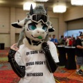 Biggest Little Fur Con 2025