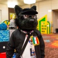 Biggest Little Fur Con 2025
