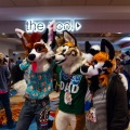Biggest Little Fur Con 2025