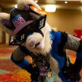 Biggest Little Fur Con 2025