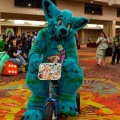 Biggest Little Fur Con 2025