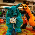 Biggest Little Fur Con 2025