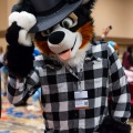 Biggest Little Fur Con 2025