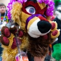 Biggest Little Fur Con 2025