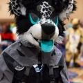 Biggest Little Fur Con 2025