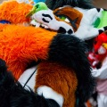 Biggest Little Fur Con 2025
