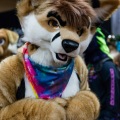Biggest Little Fur Con 2025